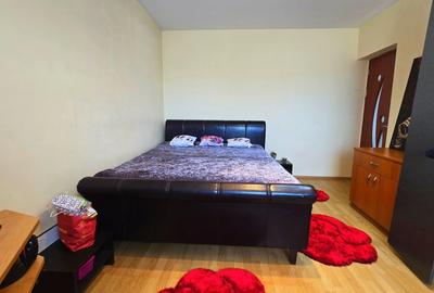 Vila ta aproape de natura – 8 camere, Lacul Pasarea - 10