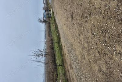 Teren de 10000 mp, în Balotești