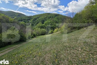 Teren de 9083 mp, în Meteș - 4