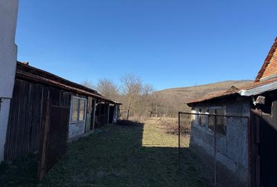 Casă individuală cu 4 camere cu Teren 2053 Mp în Panc-Săliște - 5