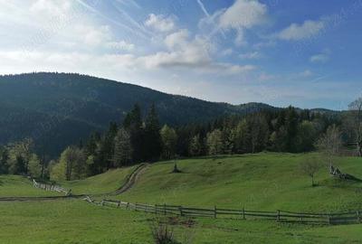 Inima Transilvaniei Inima Transilvaniei - 3