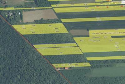 `Teren cu dubla deschidere, langa padure, Snagov - Strada Parcului - 3