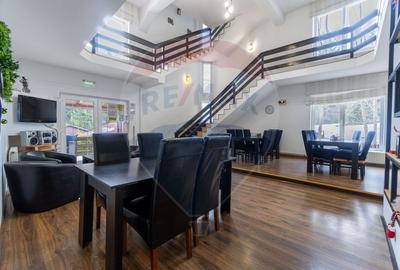 Hotel/Pensiune, de 404 mp, în Vlădeț - Trei Brazi - 19
