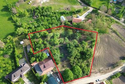 Teren intravilan 3.269 mp in Slimnicpanorama superba... - 9