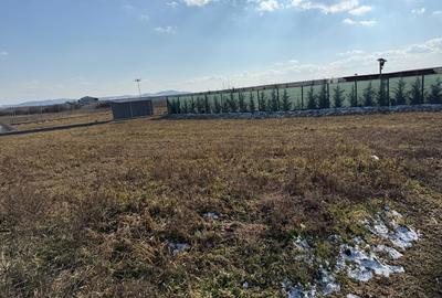 Spațiu comercial, în Central