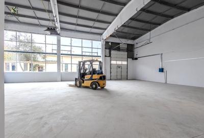 Hala indrustriala recent renovata - 7