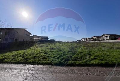 Teren intravilan de 347 mp, în Berceni - 3