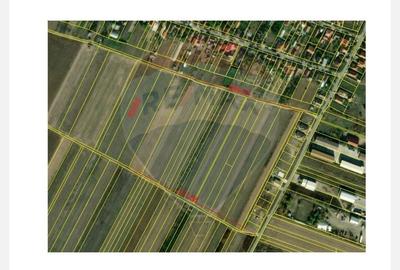 Teren agricol intravilan de 5700 mp, în Sântion - 1