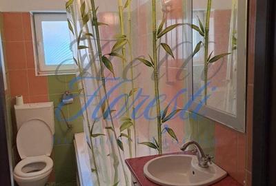 Apartament cu 2 camere semidecomandat, mobilat în Bună Ziua - 7