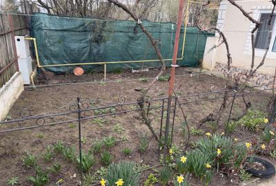 Casă cu 3 camere în Coada Izvorului - 1