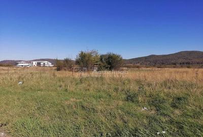 Teren intravilan 3000 mp constructii industriale - 5