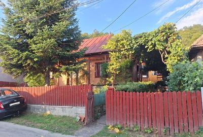 Teren 4137mp si Casa - Targu Ocna - 11