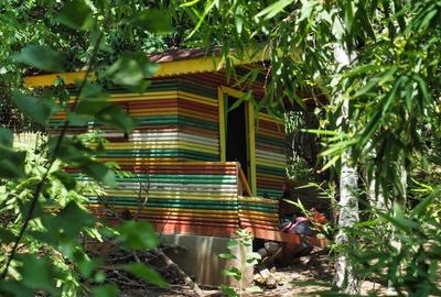 VILA 6 CAMERE SNAGOV IZVORANI LAC -TEREN 1800mp - 11