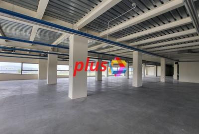 Spatiu - 600 mp #plus-imo.ro - 4