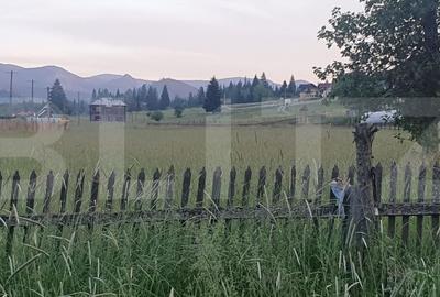 Casă cu 3 camere cu Teren 5747 Mp în Dorna Candrenilor - 2