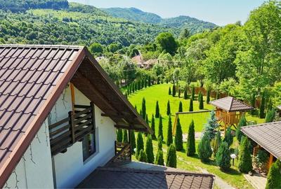 Casă cu 4 camere în Valea Doftanei - 3