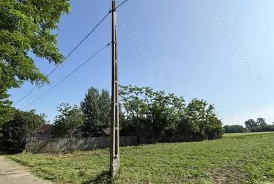 Teren de 5000 mp, în Fusea - 3