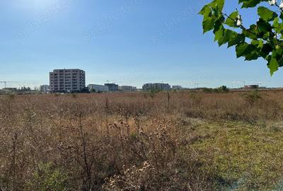 Titan -Policolor-drum gura Saratii Drum gura Calmatui, intravilan ,7290 mp - 6