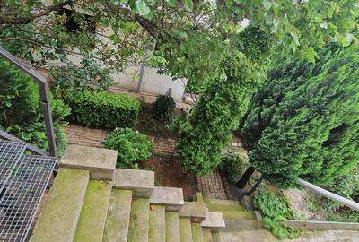 Vanzare Casa 6 camere, zona Viilor-Parcul Carol - 19
