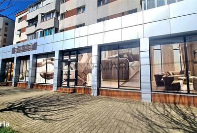 Spațiu comercial, de 485 mp, în Șagului - 4