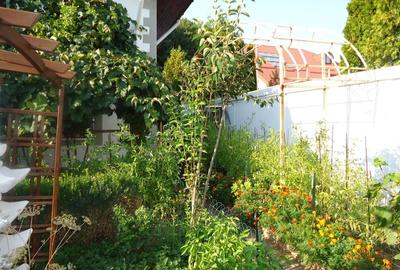 Vila piscina superba gradina matura cu iesire directa la padure - 18