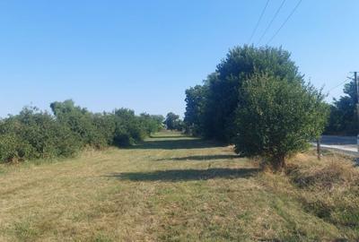 Spațiu comercial, în Baba Ana - 4