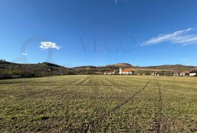 Teren de 7342 mp, în Alma - 4