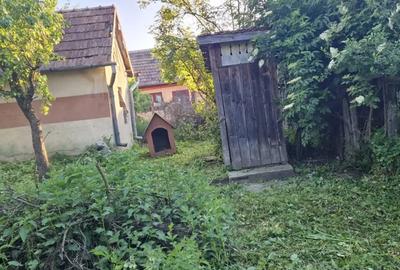 Casa cu teren intravilan 32 ari Seuca - 3