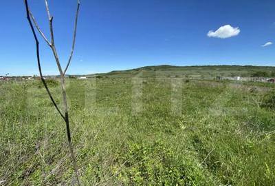 Teren de 23750 mp, în Central - 2