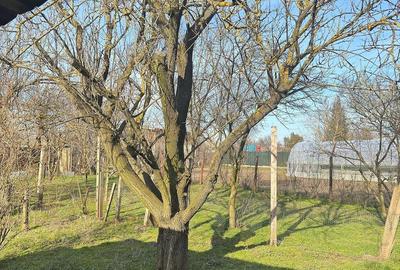 Casă cu Teren 1060 Mp în Moșteni - 5