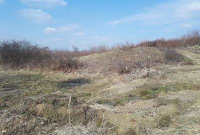 Teren de 7000 mp, în Curtișoara - 6