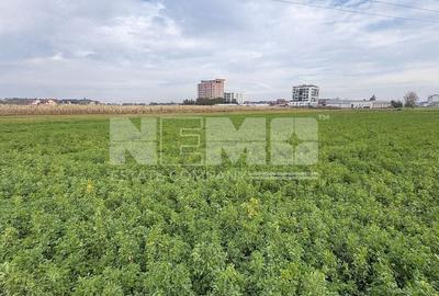 Teren Construcții intravilan de 6700 mp, în Sud-Est - 8