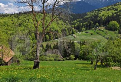 Teren intravilan 3400 mp, in Balaban - Simon, Bran - Brasov - 11