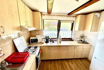 Pensiune/Cabana de vanzare, 6 camere, in Belis, Balcesti - 7