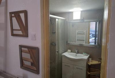 Garsonieră decomandată în Horea - 1