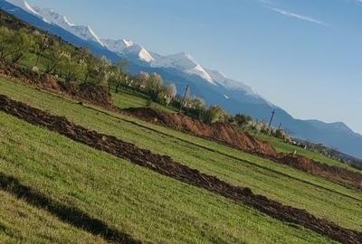 Teren de 6700 mp, în Sântămăria-Orlea - 3