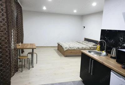 Garsoniera de inchiriat in Berceni Garsoniera de inchiriat in Berceni - 3