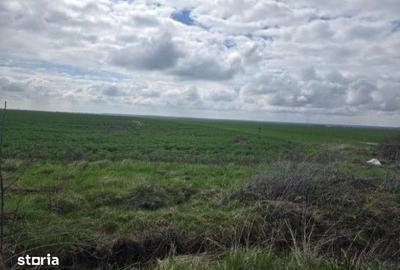 Teren de 5000 mp, în Filipeștii de Târg - 2