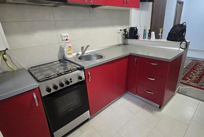 Apartament cu 2 camere decomandat în Făget - 3