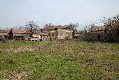 Casă cu 9 camere cu Teren 3100 Mp în Segarcea-Deal - 3