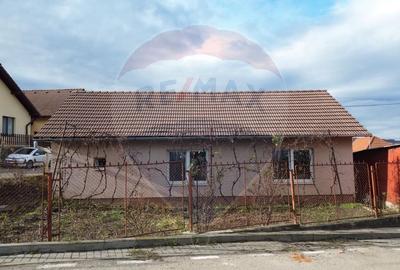 Casă cu 3 camere cu Teren 545 Mp în Central - 13