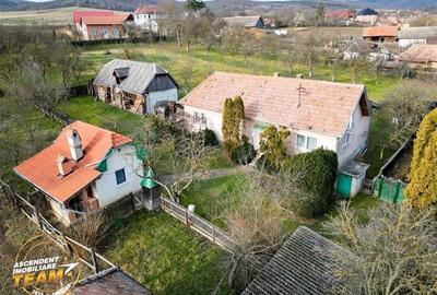 FILM! Oaza ta de liniste pe 0.5ha teren intravilan, Dalnic, Covasna - 24