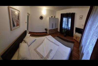 Casă cu 4 camere cu Teren 500 Mp în Păcurari - 1