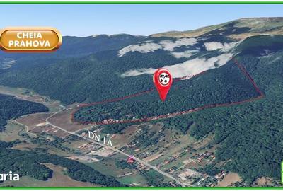 Teren de 394200 mp, în Măneciu - 4