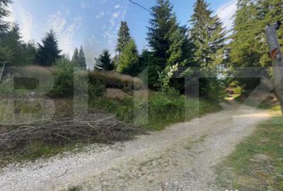 Teren de 990 mp, în Mănăștur