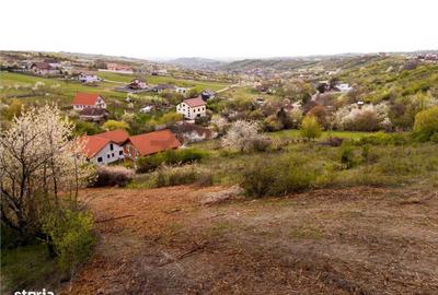 Spațiu comercial, în Central - 2