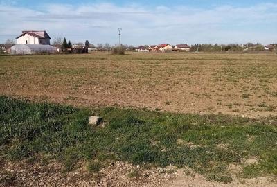 Teren de 105 mp, în Snagov - 3