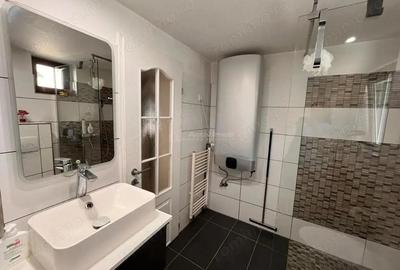 Lugoj, Vila de Vis Cu Piscina, 440 Mp. Construiti, 820 Mp. Teren - 9