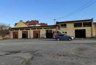 Teren de 3929 mp, în Cetate - 8