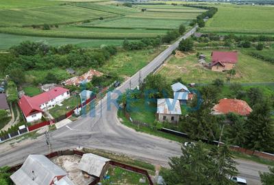 Spa?iu comercial, produc?ie sau depozitare, Racova - 6